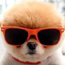 15% Off at Dog Love Design - Save with Verified Coupon